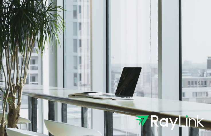 控制软件-居家远程办公新选择K8凯发RayLink远程(图2)